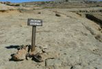 PICTURES/Pueblo Alto Trail/t_Jacdson Stairway sign.JPG